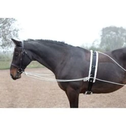 Shires Lunging Aid - Black 8 Shires Lunging Aid - Black -Ovation Sale Shop 553779 800 800