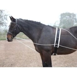 Shires Lunging Aid - Black 9 Shires Lunging Aid - Black -Ovation Sale Shop 553780 800 800