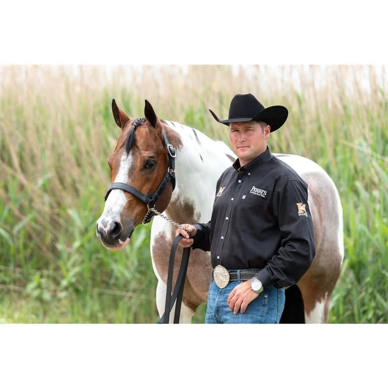 Perri's Western Crocodile Embossed Show Halter - Havana 1 Perri's Western Crocodile Embossed Show Halter - Havana