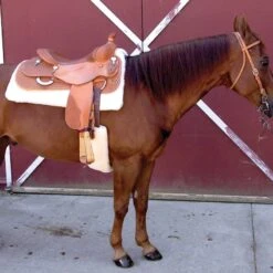 CoolBack Cinch Cover - Lamb