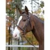 Shires Avignon Ocala Bridle - Havana -Ovation Sale Shop 569909 800 800