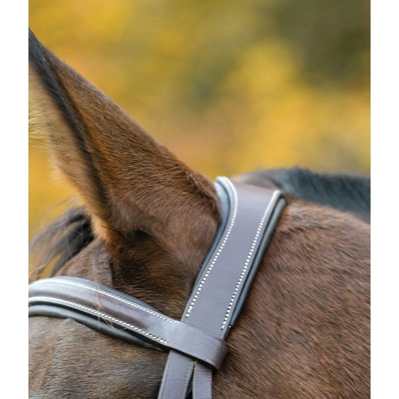 Shires Avignon Ocala Bridle - Havana 2 Shires Avignon Ocala Bridle - Havana - Image 2