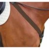 Kincade Elastic Y Fit Breastplate - Brown -Ovation Sale Shop 581612 800 800