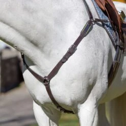 Equinavia Valkyrie Elastic Breastplate - Chocolate Brown -Ovation Sale Shop 608056 800 800