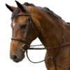 M. Toulouse Novice Hunter Bridle - Cognac -Ovation Sale Shop 631087 800 800