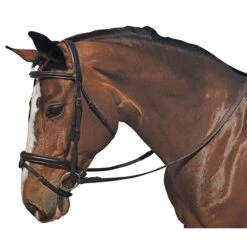 M. Toulouse Plain Raised Eventing Bridle - Chocolate