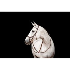 Rambo Micklem 2 Competition Bridle W/Reins - Dark Havana