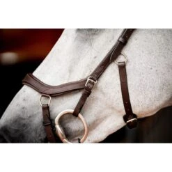 Rambo Micklem 2 Competition Bridle W/Reins - Dark Havana 6 Rambo Micklem 2 Competition Bridle W/Reins - Dark Havana -Ovation Sale Shop 666006 800 800