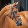 Shires Velociti Lusso Grackle Bridle - Havana -Ovation Sale Shop 674180 800 800