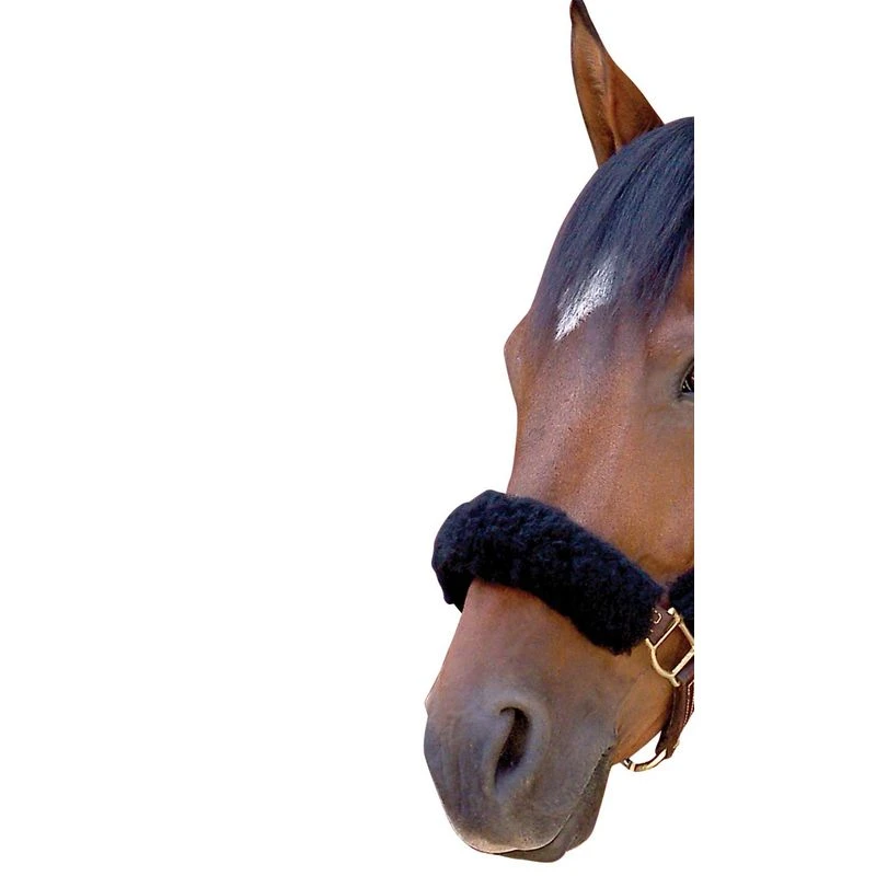 CoolBack Noseband Cover - Black 1 CoolBack Noseband Cover - Black
