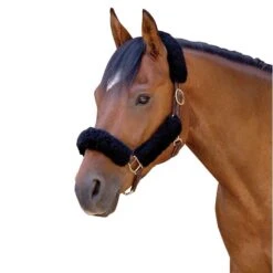 CoolBack Noseband Cover - Black 3 CoolBack Noseband Cover - Black -Ovation Sale Shop 675056 800 800