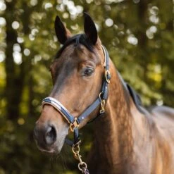 Horze Terrazzo Neoprene Lined Halter With Crystals - Dark Navy -Ovation Sale Shop 695162 800 800