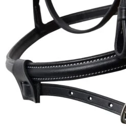Horze Ice Water Removable Flash Bridle - Black -Ovation Sale Shop 695539 800 800