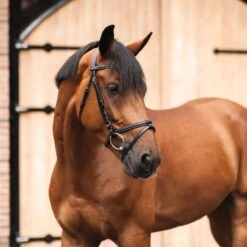 Horze Ice Water Removable Flash Bridle - Black -Ovation Sale Shop 695540 800 800