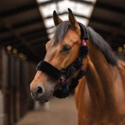 Horze Smoky Twilight Comfort Fleece Halter - Caviar Black -Ovation Sale Shop 698794 800 800