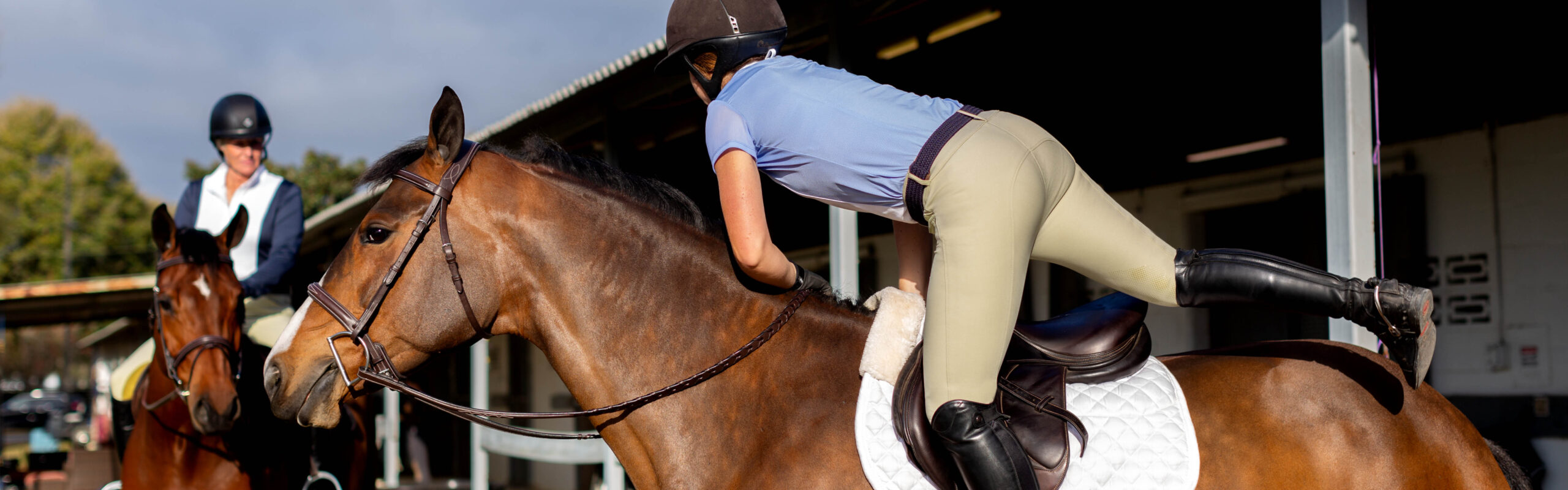 Ovation Sale Shop -Ovation Sale Shop sale scaled 1